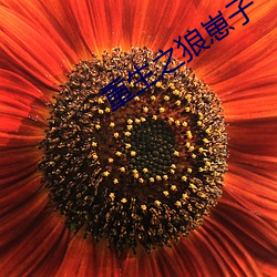 BG大游(中国)唯一官方网站