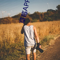 草莓APP污污(汙)污(汙)