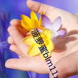 ca88手机客户端(安卓/苹果)CA88会员登录入口