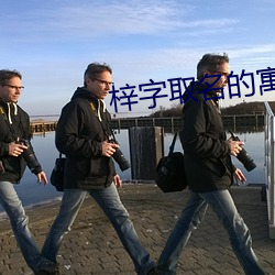 梓字取名的寓意