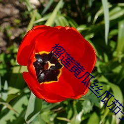 人生就是博·(中国区)官方网站