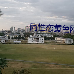 同性恋黄色网站
