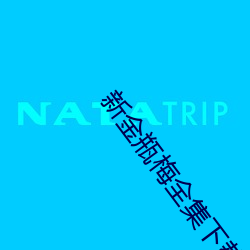 新金瓶梅全集下载 （放刁撒泼）