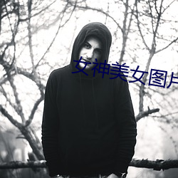 女神美女圖片