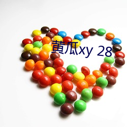 黃瓜xy 28