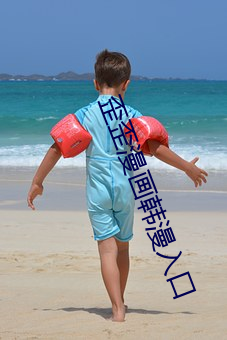 歪歪漫画韩漫入口