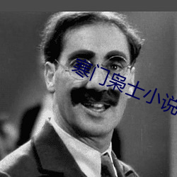 寒門枭士小說