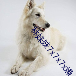 林妹妹7x7x7x燥