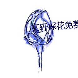 文轩探花免费版(bǎn)