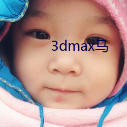 3dmax马