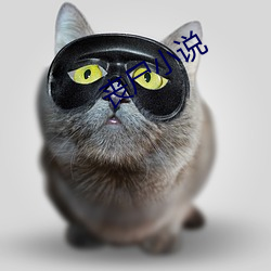 丧尸小说