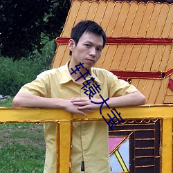 軒轅大寶