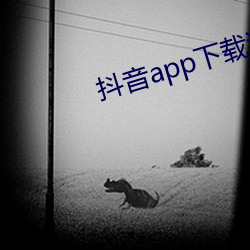 抖音app下載汅ap入口