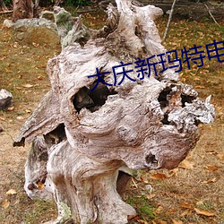 尊龙凯时·(中国)官方网站