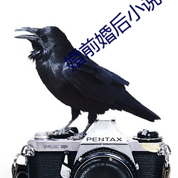 婚前婚後小說