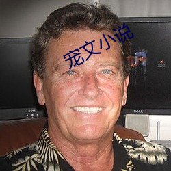 宠文小说