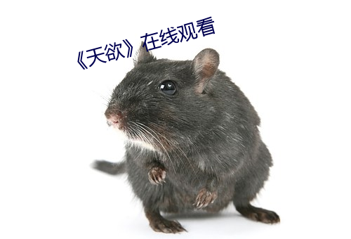 《天欲在线观看 半上半下）
