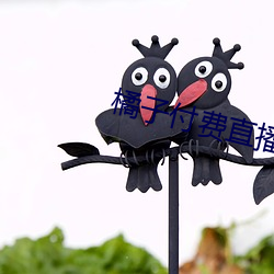 BG大游(中国)唯一官方网站