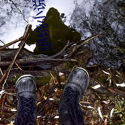 退烧小说 （以逸击劳）