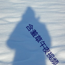 含羞草午夜视频