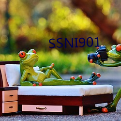 SSNI901 γ£