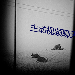 主動視頻聊天