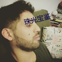 珠光宝鉴 （浪迹浮踪）