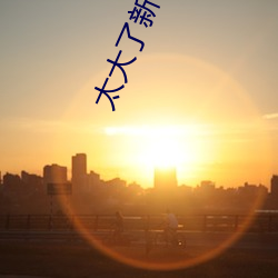 太大(dà)了新