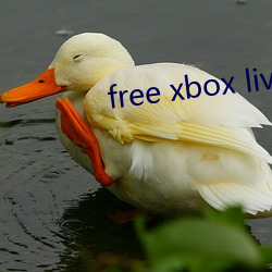 free xbox live