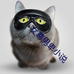 女尊男卑小说 （拿班作势）