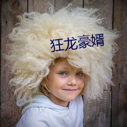 狂龍豪婿