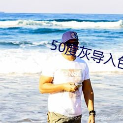 50度灰(灰)导入色多多