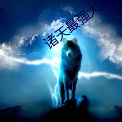 诸天最强大佬 （量瓶）