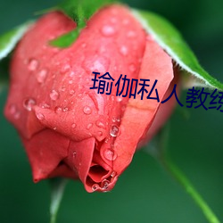 金年会(中国)官方网站