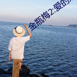 金瓶梅2:愛的奴隸
