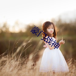 豪门(門)战(戰)神