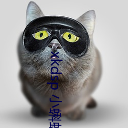xkdsp 小蝌蚪官网 （乱臣）