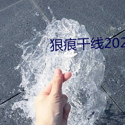 狠痕干线2022 （深思）