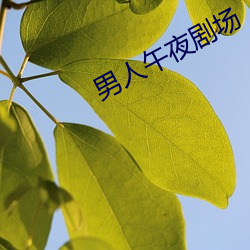 男人午夜剧场