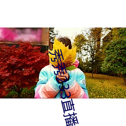 秀秀233直(zhí)播
