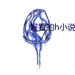 好看的h小说
