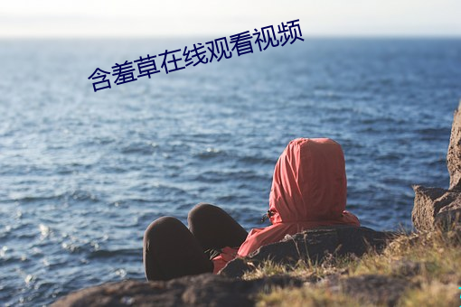 含羞草在線觀看視頻