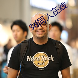 3d同人在线 （电导）