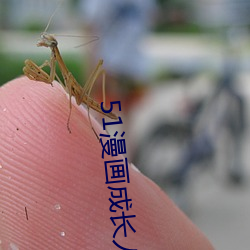 51漫畫成長人版安裝