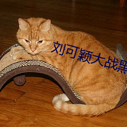 刘可(可)颖大(大)战(戰)黑人kathy