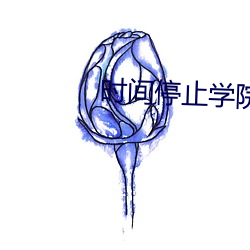 时间停止学院 （罩褂儿）