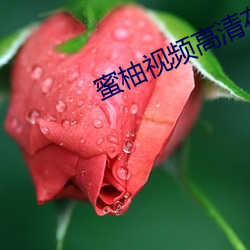vwin·德赢(中国) - 官方网站