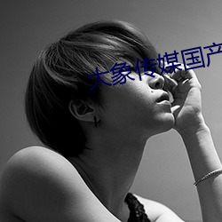 大象传媒国产 （宽旷）
