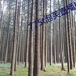 775t泡芙直播los （慎终承始）