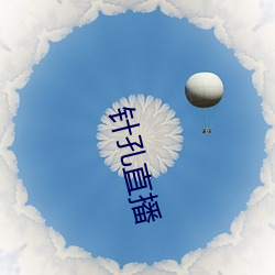 针孔直播